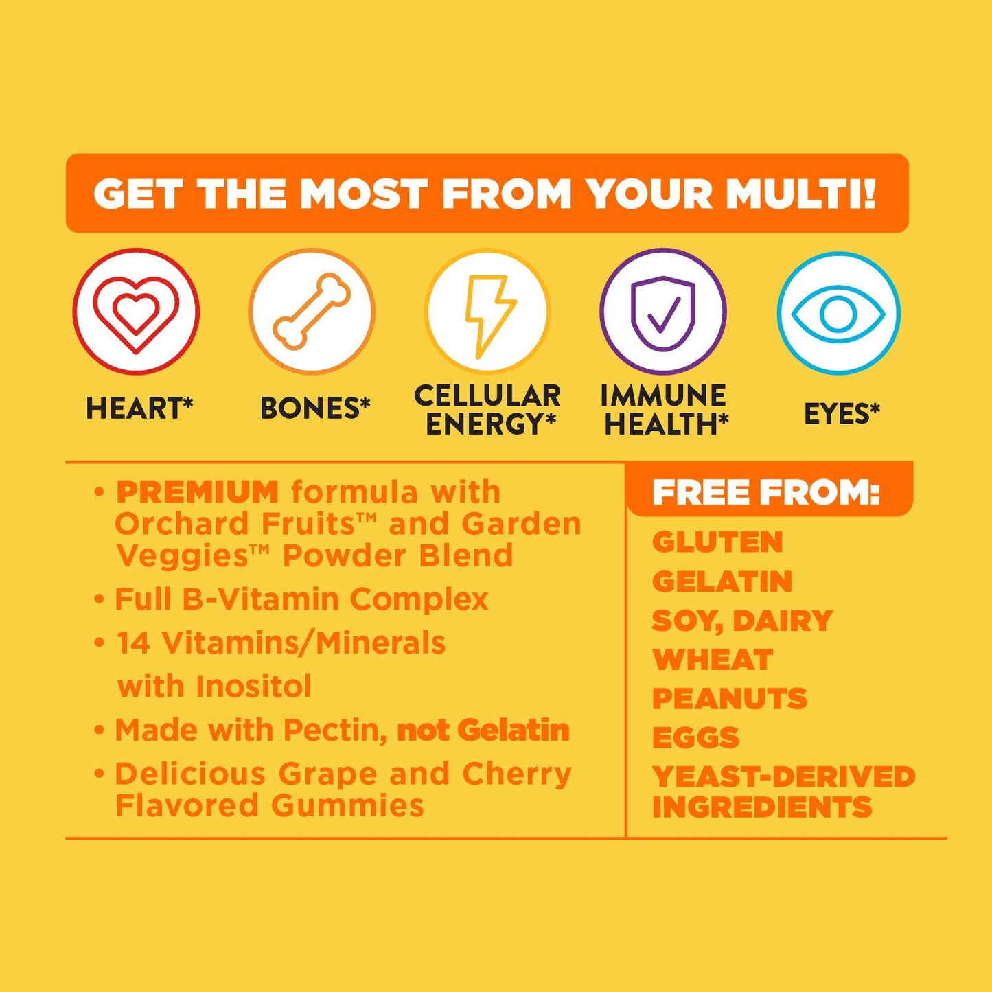 Nature's Way Alive!® Premium Adult Multivitamin Gummies