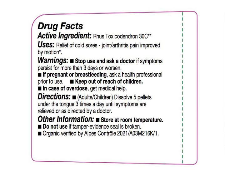 Olloïs Rhus Toxicodendron 30C