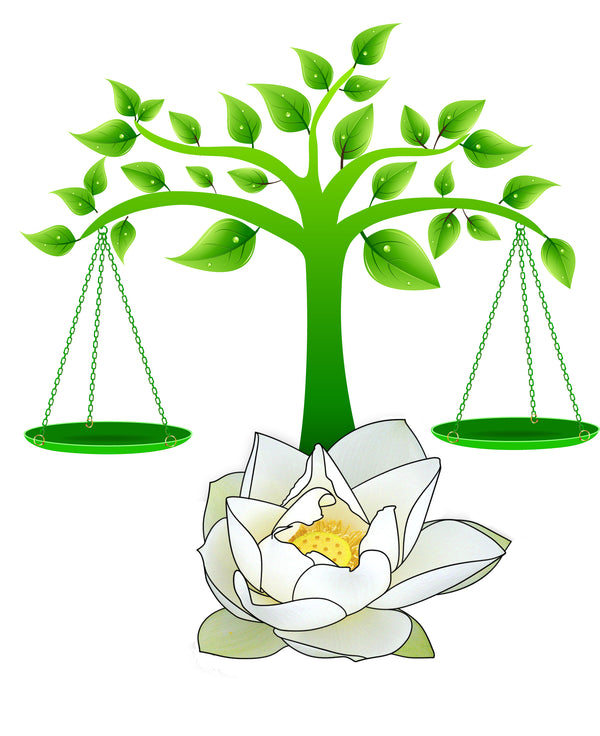 Balanced You Natural Emporium