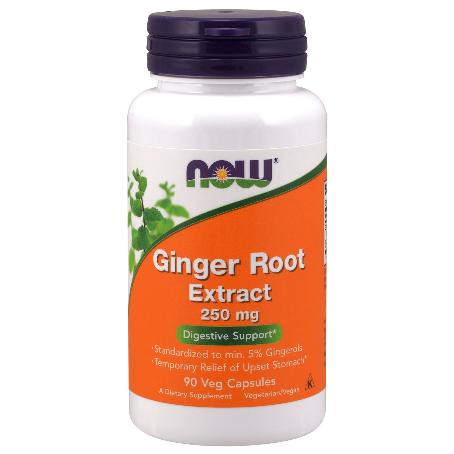 NOW Foods Ginger Root Extract