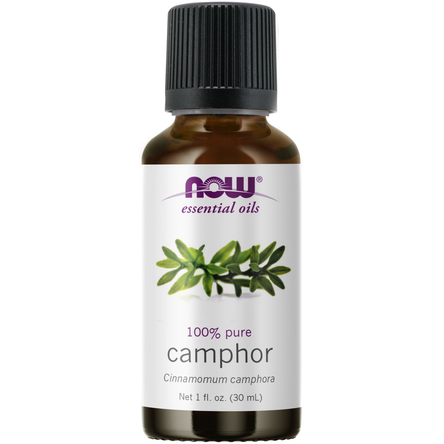 NOW Foods Camphor Essential Oil