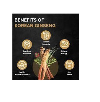 Wellness Korean Red Ginseng Capsule Health Boost