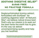 Nature's Way, DGL (Without Fructose)