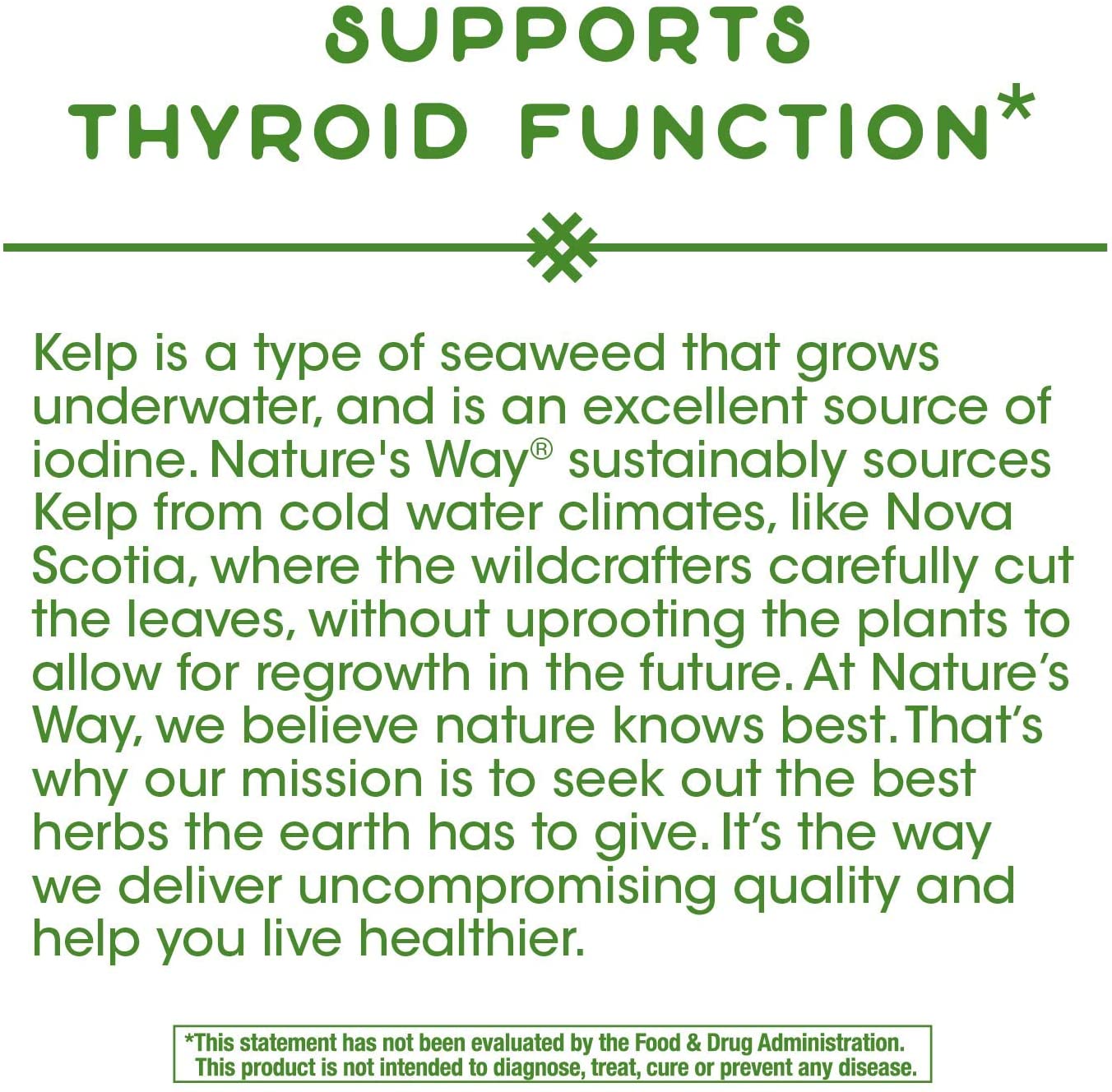 Nature's Way Kelp