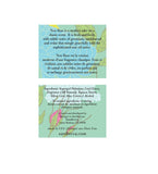 SARABECCA New Rose Solid Perfume